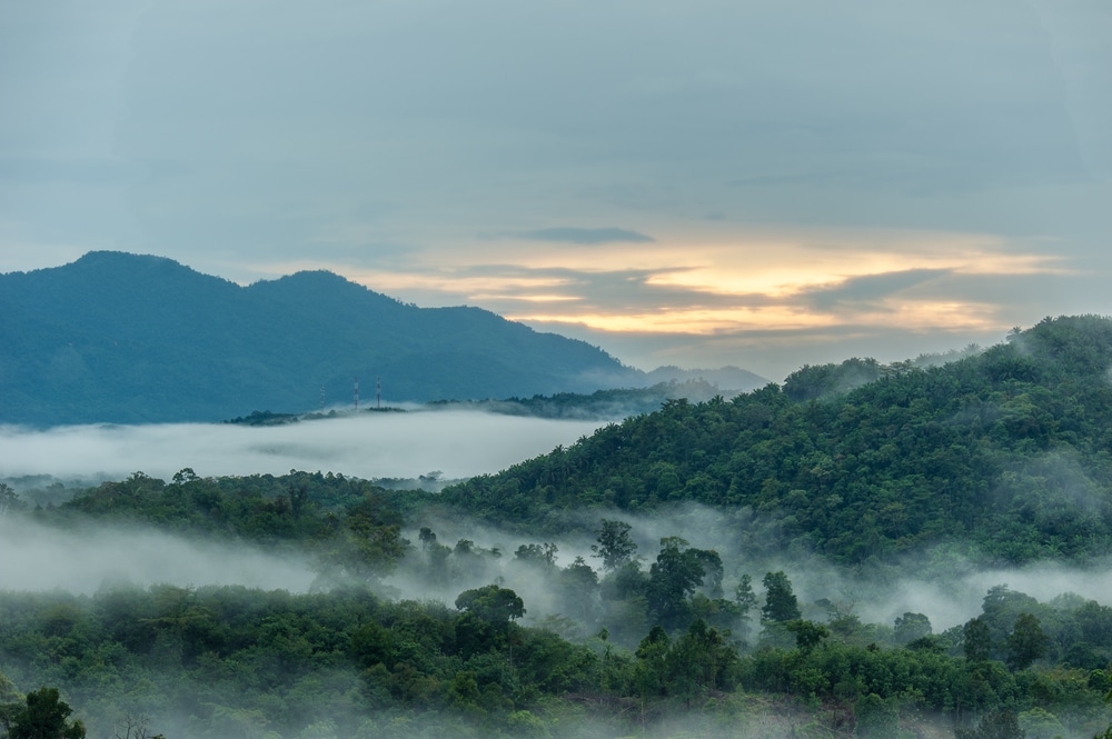 ภูมิทัศน์หมอกยามเช้าพร้อมภูเขาที่ปกคลุมไปด้วยป่าและเมฆที่อยู่ต่ำ ที่เที่ยวเบตง