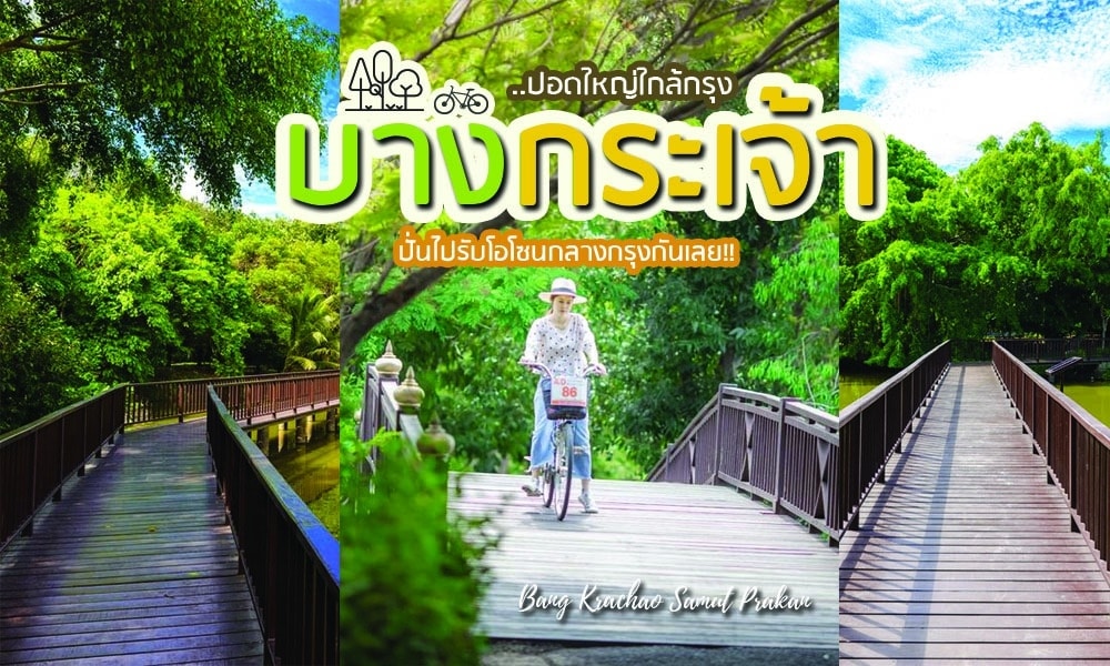 คนขี่จักรยานข้ามสะพานไม้ที่รายล้อมไปด้วยแมกไม้เขียวขจี ที่เที่ยวนั้น ที่เที่ยวเดือนกันยายน