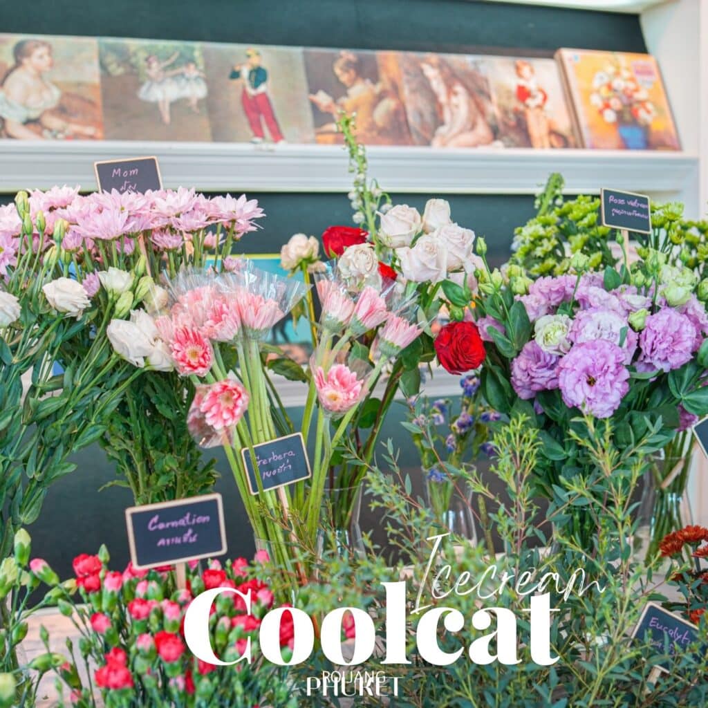 ร้านกาแฟภูเก็ต ดอกไม้นานาชนิดในร้านพร้อมป้ายชื่อ พื้นหน้าแสดงดอกคาร์เนชั่นและดอกกุหลาบ ติดกับผนังที่มีภาพวาดต่างๆ ข้อความ "Icecream Coolcat Phuket" ซ้อนทับอยู่บนภาพชวนให้นึกถึงบรรยากาศคาเฟ่ภูเก็ตที่มีเสน่ห์