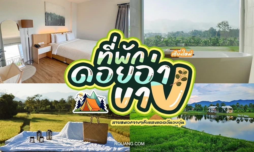 ภาพต่อกันแสดงห้องพักในโรงแรม ทิวทัศน์อันงดงามของภูเขาและทุ่งนา และการตั้งแคมป์กลางแจ้งพร้อมข้อความภาษาไทยที่โปรโมตที่พักดอยอ่างขางในเชียงใหม่ ประเทศไทย