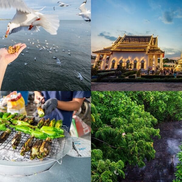 มา ที่เที่ยวบางปู สมุทรปราการ ชมฝูงนกสุดสโลว์ไลฟ์ สถานตากอากาศบางปู มีอะไรบ้าง นอกจากสะพานสุขตาและนกนางนวล ทริปเที่ยวบางปู 1 วัน ให้คุ้มแบบเต็มวัน