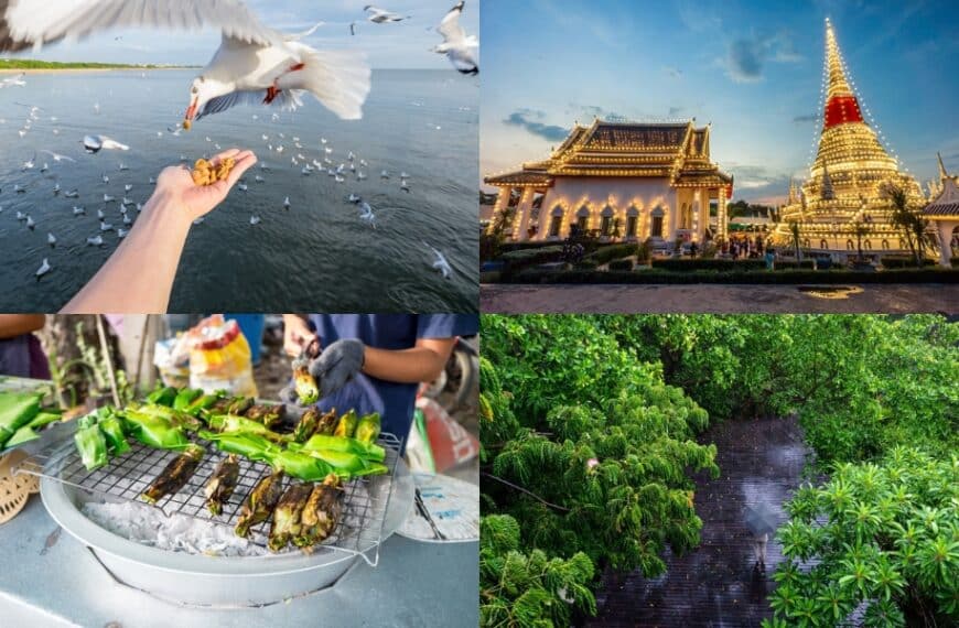 มา ที่เที่ยวบางปู สมุทรปราการ ชมฝูงนกสุดสโลว์ไลฟ์ สถานตากอากาศบางปู มีอะไรบ้าง นอกจากสะพานสุขตาและนกนางนวล ทริปเที่ยวบางปู 1 วัน ให้คุ้มแบบเต็มวัน