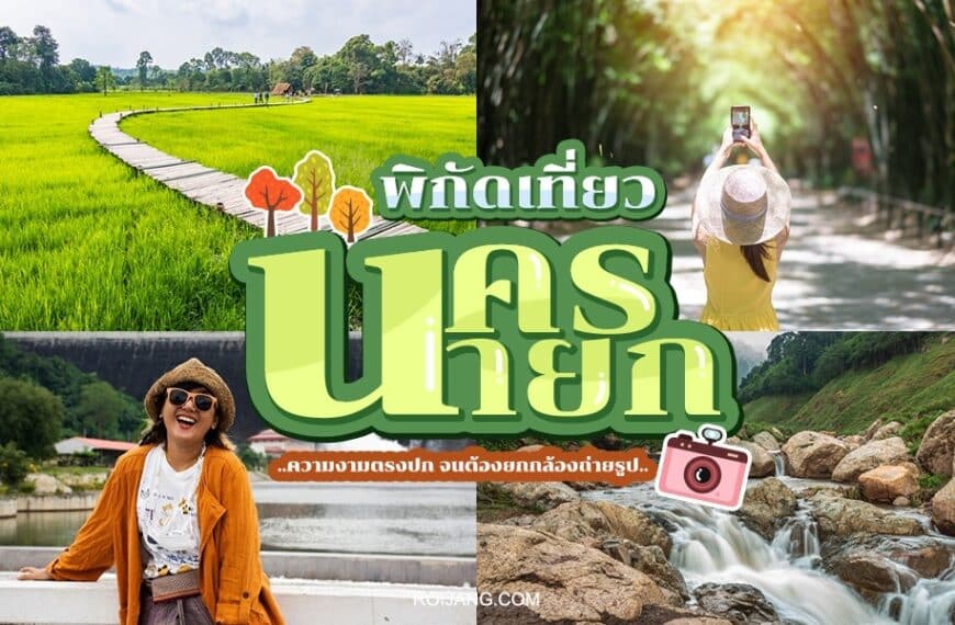 ภาพต่อกันที่มีรูปถ่ายทุ่งหญ้าสีเขียว 4 รูป ผู้หญิงกำลังถ่ายรูป น้ำตก และผู้หญิงยิ้มแย้มสวมหมวก ข้อความภาษาไทยอ่านว่า "สถานที่ท่องเที่ยวนครนายก" มีไอคอนต้นไม้และกล้อง