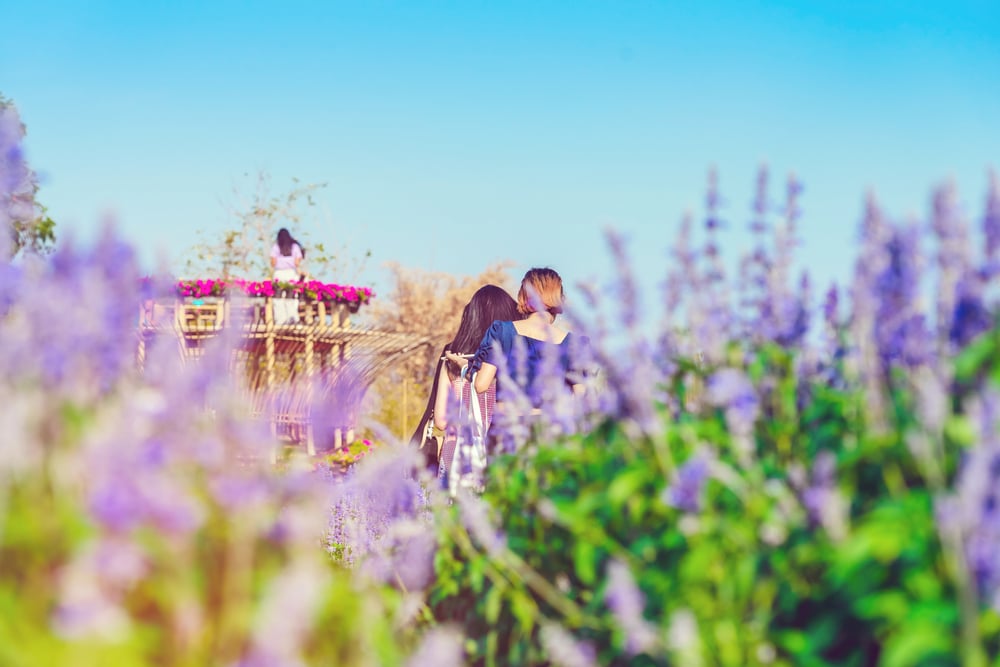 คนสองคนเดินผ่านทุ่งดอกไม้สีม่วงในวันที่อากาศสดใสในการท่องเที่ยวกาญจนบุรี โดยมีคนหนึ่งนั่งอยู่บนโครงสร้างด้านหลัง ถือเป็นจุดที่เหมาะสำหรับการท่องเที่ยวกาญจนบุรี 1 วัน ท่องเที่ยวกาญจนบุรี