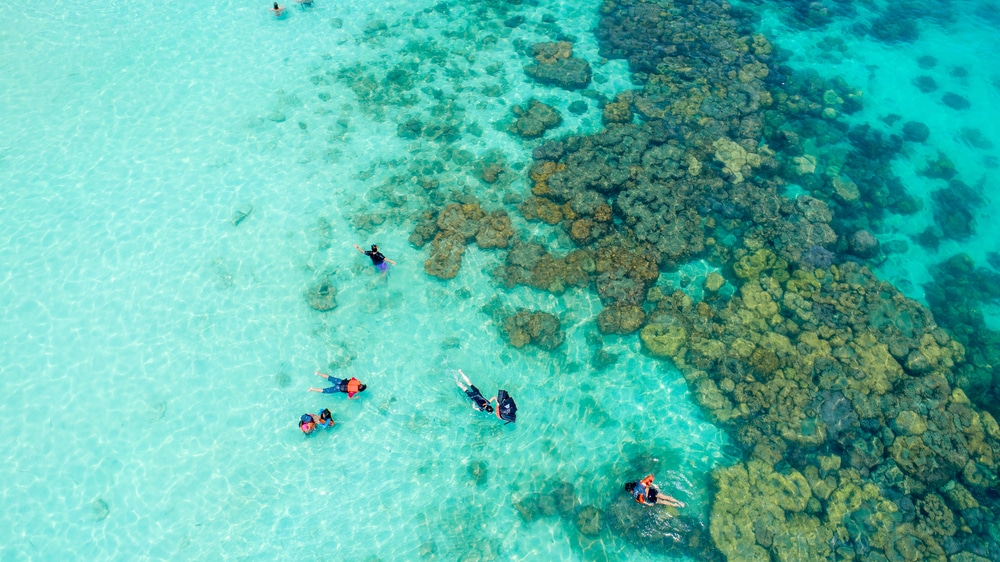 มุมมองทางอากาศของผู้คนที่ดำน้ำตื้นในน้ำทะเลสีฟ้าครามใสเหนือแนวปะการังใกล้กับเกาะมันนอก