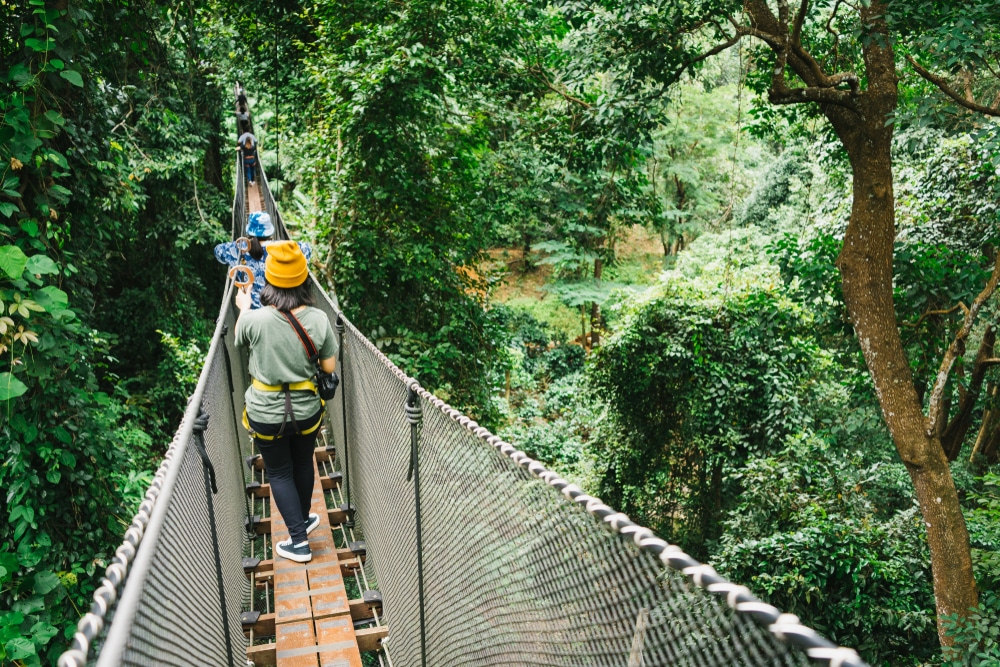 คนสวมหมวกสีเหลืองเดินอยู่บนสะพานแขวนแคบๆ ที่ล้อมรอบด้วยป่าเขียวขจีของดอยภาคเหนือ ดอยภาคเหนือ