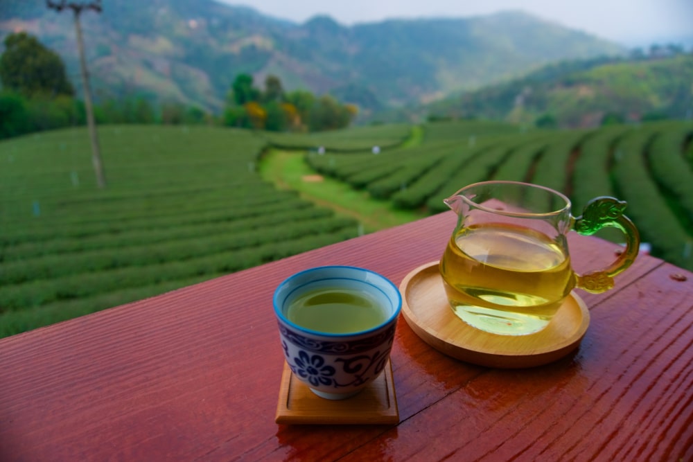 เหยือกแก้วและถ้วยชาเขียวเซรามิกวางอยู่บนพื้นผิวไม้ มองเห็นไร่ชาอันเขียวชอุ่มของดอยภาคเหนือ โดยมีเนินเขาเป็นฉากหลัง  ดอยภาคเหนือ