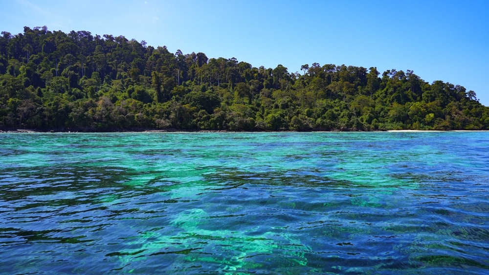 น้ำทะเลสีฟ้าครามใสบรรจบกับป่าไม้เขียวชอุ่มภายใต้ท้องฟ้าสีครามสดใส ท่องเที่ยวเกาะลันตา