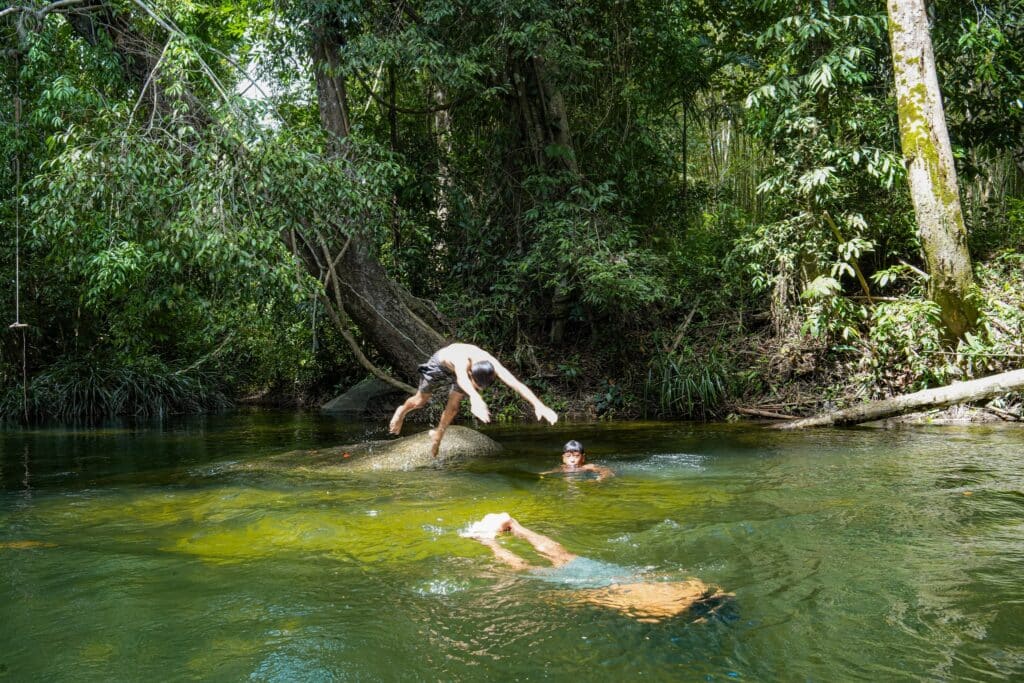 คนสองคนกำลังว่ายน้ำในแม่น้ำที่เป็นป่าในพังงาที่เที่ยว ในขณะที่อีกคนดำดิ่งลงไปในน้ำจากหินขนาดใหญ่ ล้อมรอบไปด้วยต้นไม้และพืชพรรณสีเขียวหนาแน่น ที่เที่ยวพังงา