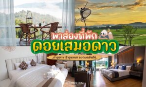         ภาพต่อกันของห้องพักในโรงแรม พื้นที่รับประทานอาหารพร้อมวิวภูเขา และนาข้าวยามพระอาทิตย์ตกดิน ข้อความภาษาไทยตรงกลางแสดงถึงบนดอยเสมอดาวที่ดอยเสมอดาว