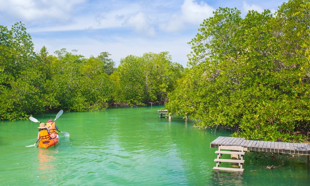 คนสองคนในเรือคายัคสีส้มพายเรือไปตามทางน้ำสีเขียวที่มีต้นไม้เรียงรายใต้ท้องฟ้าที่มีเมฆบางส่วน ท่องเที่ยวระนอง แท่นไม้มองเห็นได้ตามแนวริมน้ำ แสดงให้เห็นความงามอันเงียบสงบของระนองระนอง