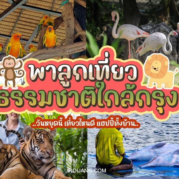 พาลูกเที่ยวธรรมชาติใกล้กรุงเทพ 2024 สนุกได้ทั้งครอบครัว