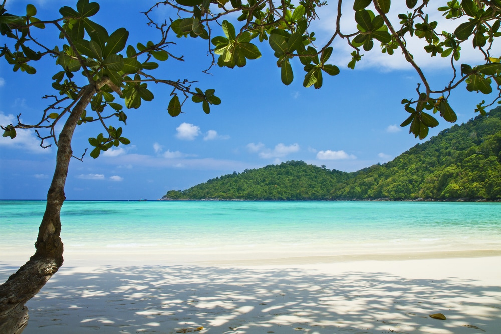 ชายหาดอันบริสุทธิ์ที่มีหาดทรายสีขาว น้ำทะเลสีฟ้าคราม และเนินเขาสีเขียวชอุ่มเป็นฉากหลัง ทำให้ฉากอันน่า อุทยานแห่งชาติประเทศไทยหลงใหลของอุทยานประเทศไทยแห่งนี้ กิ่งก้านของต้นไม้ที่มีใบสีเขียวช่วยเสริมความงามภายใต้ท้องฟ้าสีฟ้าใส