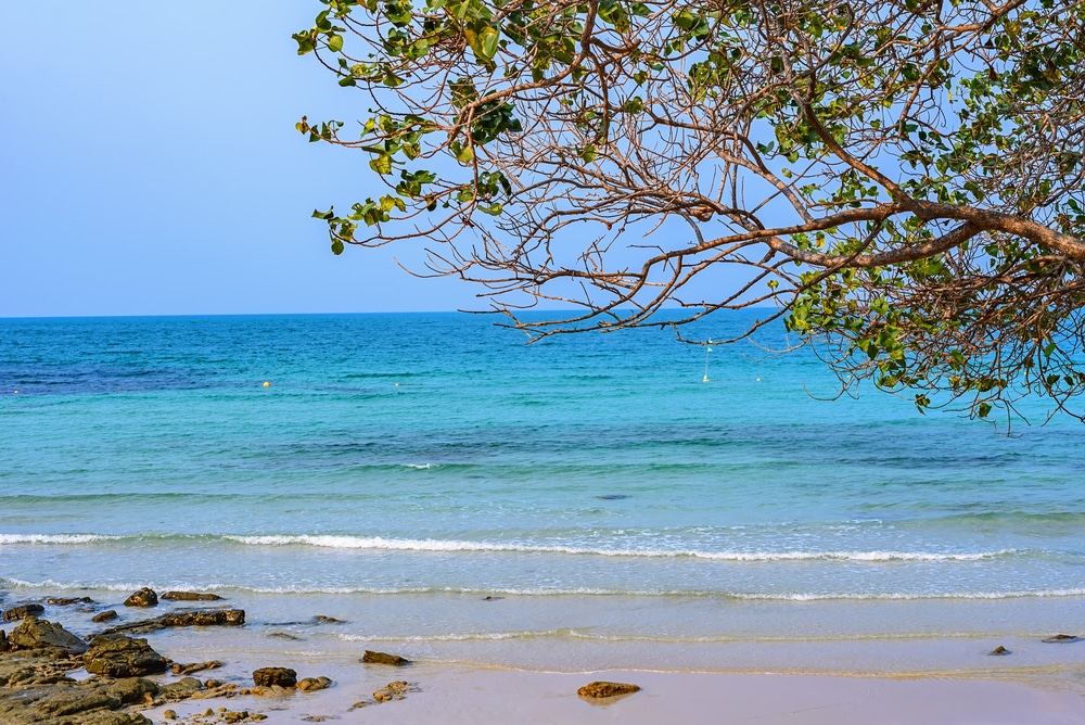 ฉากชายหาดอันเงียบสงบที่มีน้ำทะเลสีฟ้าใส คลื่นที่อ่อนโยน และต้นไม้ที่มีใบกระจัดกระจายทอดยาวไปตามชายฝั่งทราย โขดหินกระจัดกระจายตามริมน้ำ ทำให้เป็นจุดที่เหมาะแก่การ พาลูกเที่ยวธรรมชาติใกล้กรุงเทพ