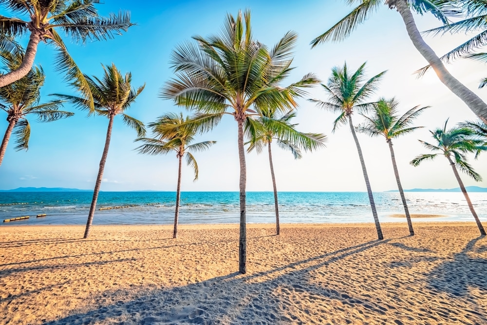 ฉากชายหาดเขตร้อนประกอบด้วยต้นปาล์มสูงทอดเงาบนชายฝั่งทราย โดยมีคลื่นทะเลสีฟ้าใสเป็นพื้นหลัง และท้องฟ้าสดใสเหนือศีรษะ ทำให้ที่นี่เป็นสถานที่ในอุดมคติสำหรับการท่องเที่ยวหน้าฝนโรแมนติกสำหรับคู่รักที่กำลังมองหาสถานที่พักผ่อนอันเงียบสงบ ที่เที่ยวครอบครัว