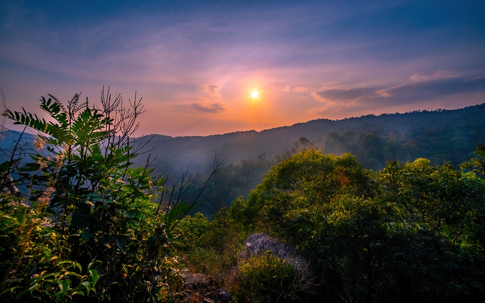 สัมผัสประสบการณ์ทัศนียภาพ ท่องเที่ยวราชบุรี พระอาทิตย์ตกเหนือป่าไม้สีเขียวชอุ่มในจังหวัดลำพูน โดยมีเนินเขาเป็นฉากหลังและแสงอาทิตย์สาดแสงอบอุ่นบนท้องฟ้า เป็นช่วงเวลาที่เหมาะเจาะสำหรับการท่องเที่ยวลำพูน