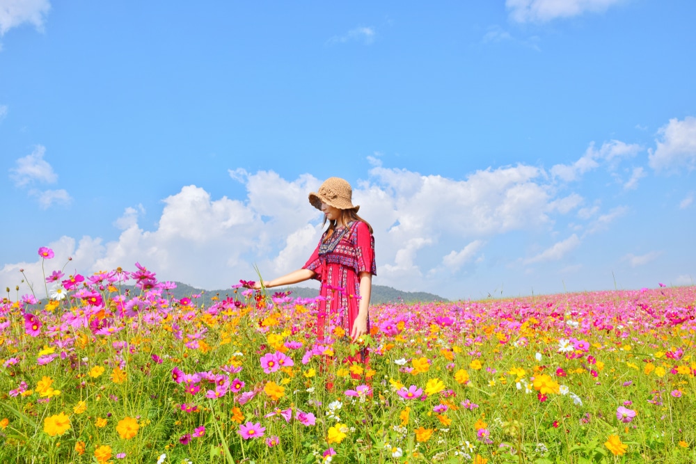 คนสวมชุดสีแดงและหมวกยืนอยู่ในทุ่งดอกไม้ป่าหลากสีสันภายใต้ท้องฟ้าสีฟ้าและเมฆสีคราม ชวนให้นึกถึงความงามอันเงียบสงบของเกาะภูเก็ต