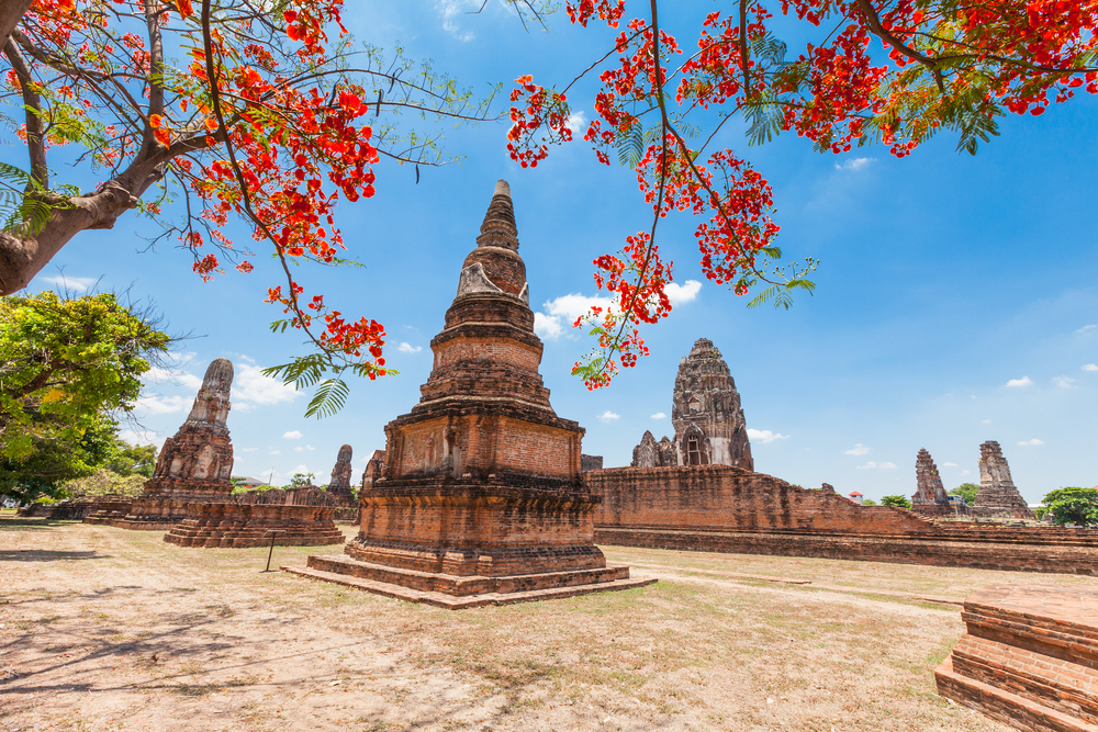 ซากวัดอิฐโบราณที่มีโครงสร้างสูงตระหง่านภายใต้ท้องฟ้าสีฟ้าใส ล้อมรอบด้วยกิ่งไม้ที่ประดับด้วยดอกไม้สีแดงสดใส นี่คือซากที่งดงามของ วัดดังลพบุรี 