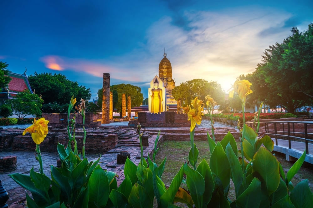 วัดพระศรีรัตนมหาธาตุ วัดพุทธที่สวยงามในจังหวัดพิษณุโลก ประเทศไทย  ท่องเที่ยวภาคกลาง เรืองแสงอย่างสวยงามยามพระอาทิตย์ตกดินโดยมีดอกไม้สีเหลืองอยู่เบื้องหน้า เป็นฉากที่น่าหลงใหลซึ่งเหมาะสำหรับผู้ที่กำลังมองหาประสบการณ์ท่องเที่ยวหน้าฝนใกล้กรุงเทพ