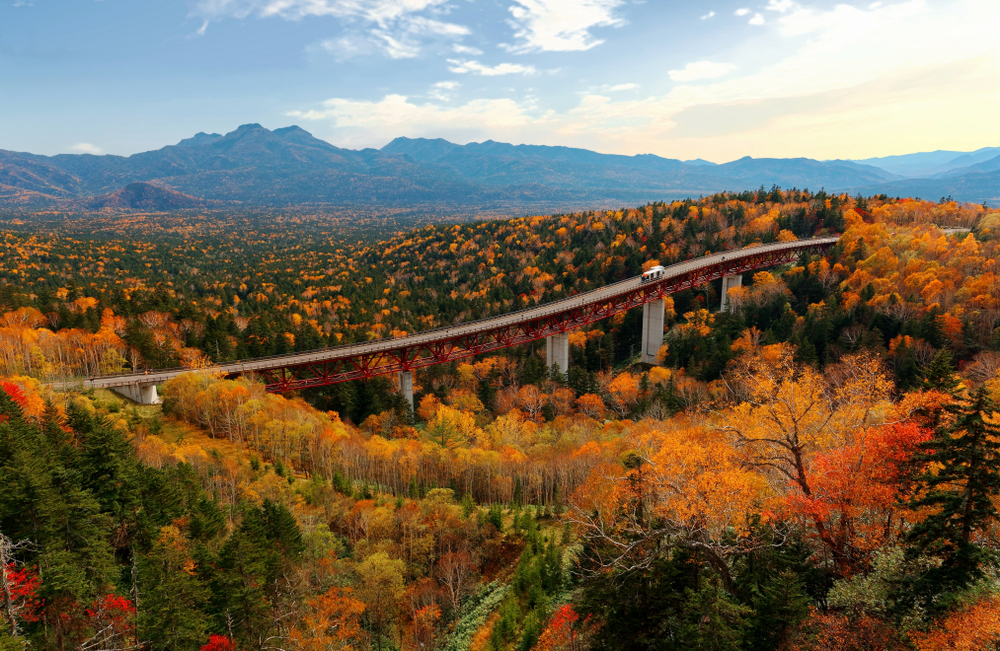 รถไฟแล่นข้ามสะพานสีแดงเหนือป่าที่มีใบไม้เปลี่ยนสีในฤดูใบไม้ร่วง โดย เที่ยวญี่ปุ่นหน้าร้อน มีฉากหลังเป็นภูเขาและท้องฟ้ามีเมฆบางส่วน ทำให้เกิดทัศนียภาพที่งดงามชวนให้นึกถึงมนต์เสน่ห์ที่พบในภาคใต้สถานที่ท่องเที่ยว.