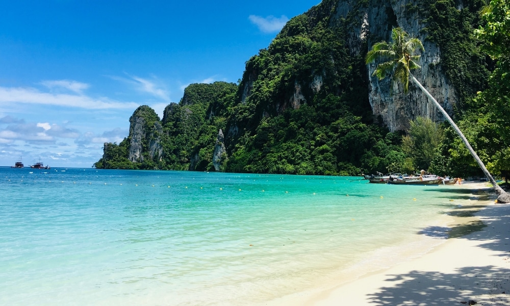 ค้นพบชายหาดเขตร้อนในชุมพรที่มีน้ำทะเลสีฟ้าใส ทรายสีขาว และ ท่องเที่ยวชุมพร หน้าผาหินปูนสีเขียวขจี ต้นปาล์มต้นเดียวโน้มเอียงไปทางทะเล และเรือหางยาวหลายลำจอดอยู่ไกลออกไป เป็นจุดท่องเที่ยวผจญภัยอันเงียบสงบของชุมพร.