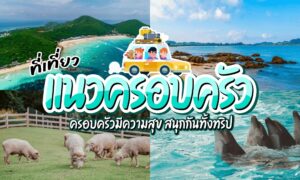 รวม ที่เที่ยวครอบครัว บรรยากาศดี เที่ยวกับครอบครัว กิจกรรมเยอะ เด็กๆ สนุก ผู้ใหญ่ก็ผ่อนคลาย ที่เที่ยวสำหรับครอบครัว เที่ยวสนุก ไปเที่ยวกับครอบครัว