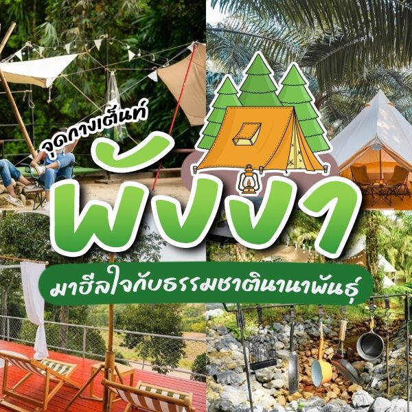 15 จุดกางเต็นท์พังงา 2025 ปักหมุดวันหยุดยาว ทริปพังงา!!!