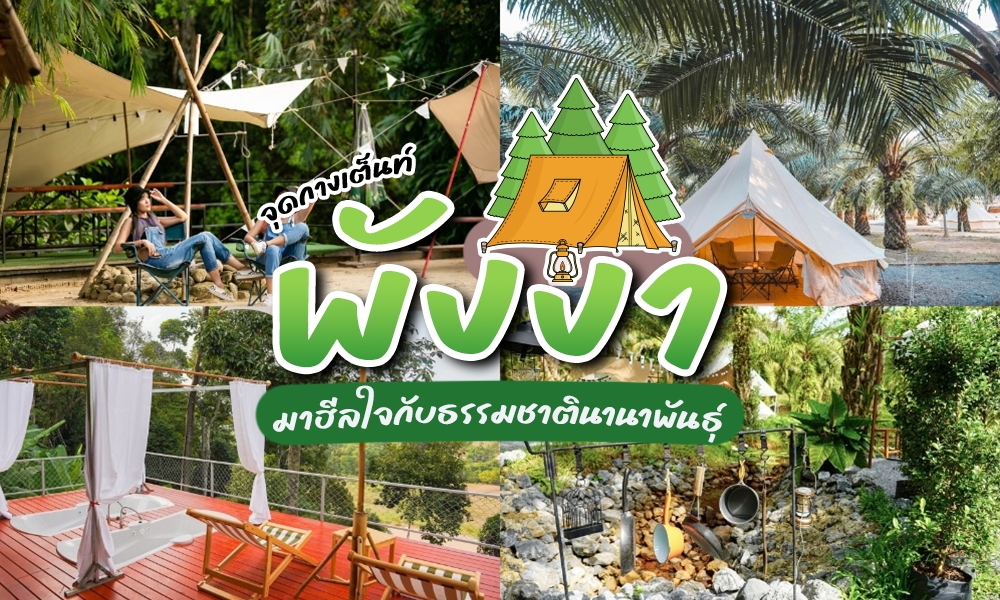 ภาพตัดปะภาพฉากการตั้งแคมป์กลางแจ้ง จุดกางเต็นท์พังงา ที่มีเต็นท์ เก้าอี้ พื้นไม้ และต้นไม้สีเขียวชอุ่ม ทับด้วยข้อความภาษาไทยที่ส่งเสริมจุดกางเต็นท์พังงา ท่ามกลางธรรมชาติอันงดงาม.