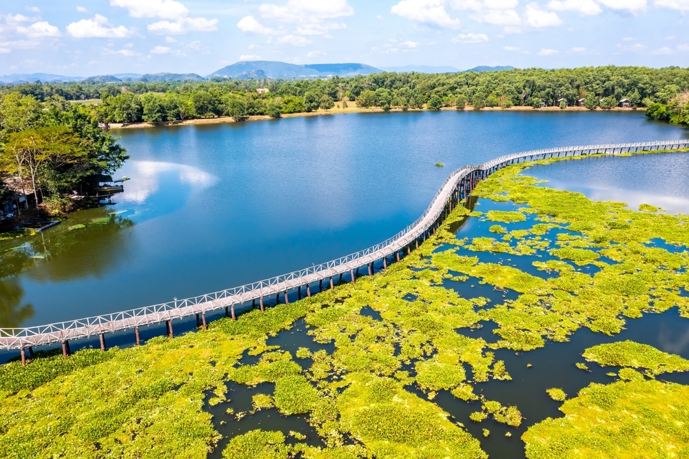 วิวทางอากาศของสะพานไม้คดเคี้ยวเหนือทะเลสาบที่มีพืชพรรณสีเขียว  ท่องเที่ยวชุมพร ณ เที่ยวจังหวัดชุมพร ผืนน้ำมีต้นไม้ล้อมรอบและมองเห็นภูเขาเป็นพื้นหลังภายใต้ท้องฟ้าที่มีเมฆเป็นบางส่วน เหมาะแก่การท่องเที่ยวชุมพร.