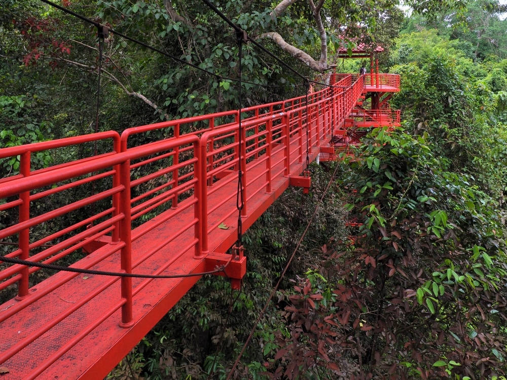 สะพานแขวนคนเดินสีแดงที่โดดเด่นในพื้นที่ท่องเที่ยวจังหวัดชุมพร ล้อมรอบอย่างสวยงามด้วยต้นไม้สีเขียวชอุ่ม. เที่ยวตรัง 