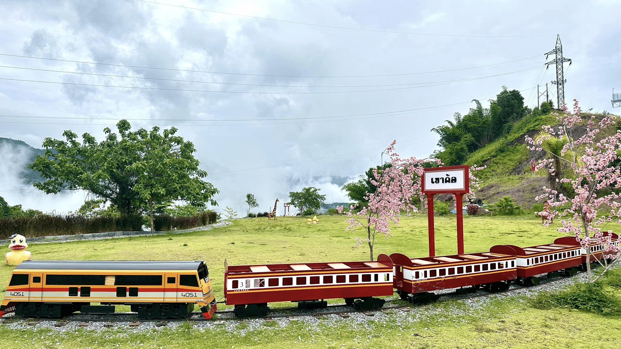 รถไฟจำลองขนาดเล็กบนรางพร้อมรถโดยสารสีแดงและสีขาว ตั้งอยู่ เที่ยวเพชรบูรณ์ ท่ามกลางทุ่งหญ้า ประดับต้นซากุระ และป้ายบอกทาง ถ่ายทอดบรรยากาศอันน่าหลงใหลของ ระนองที่เที่ยว.