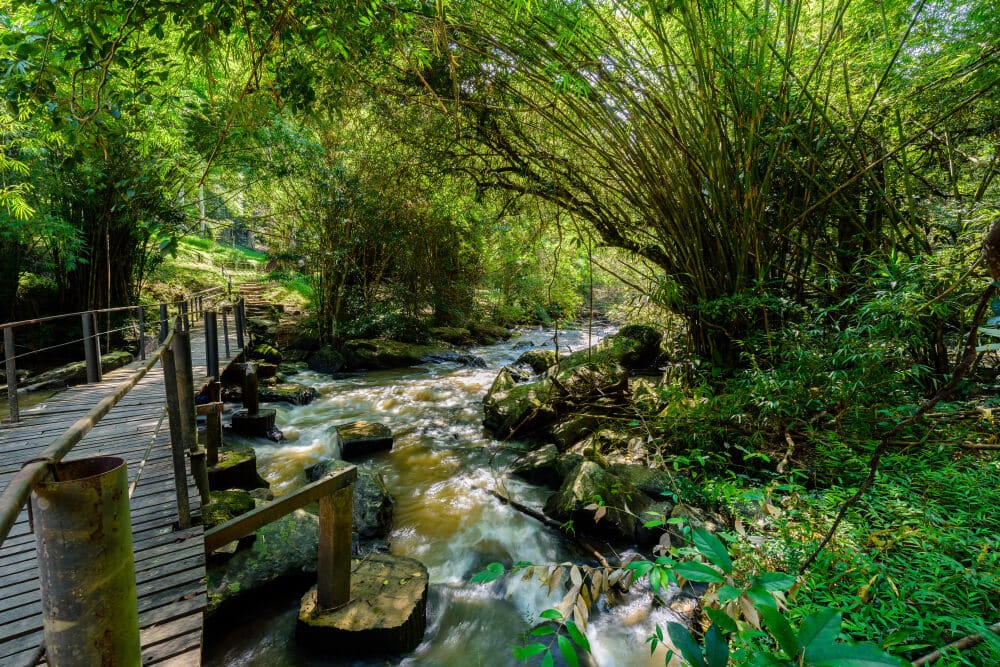 สะพานไม้ทอดข้ามลำธารที่ไหลโอบล้อมด้วยใบไม้สีเขียวชอุ่มและโขดหินใต้แสงแดดที่ส่องผ่าน ชวนให้นึกถึงความ เพชรบูรณ์ที่เที่ยว งามอันเงียบสงบของระนองที่เที่ยว.