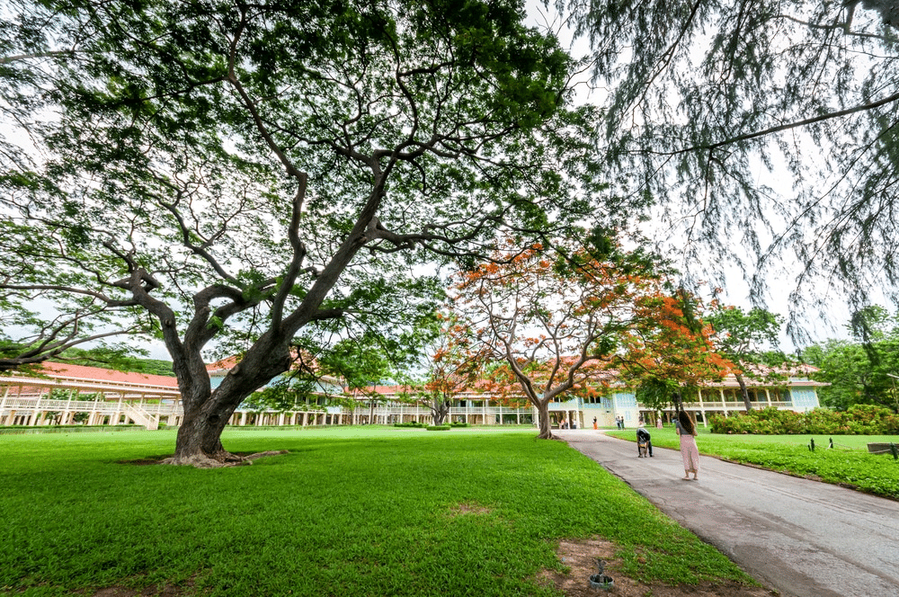  เที่ยวหัวหิน สนามหญ้าสีเขียว เหมาะสำหรับผู้ที่มองหาสถานที่เงียบสงบใน huahin ใกล้ๆ กัน มีคนกำลังพาสุนัขเดินเล่นไปตามทางเดิน โดยมีฉากหลังเป็นอาคารยาวที่มีหน้าต่างหลายบาน เป็นจุดหมายปลายทางที่ไม่ควรพลาดใน huahin.