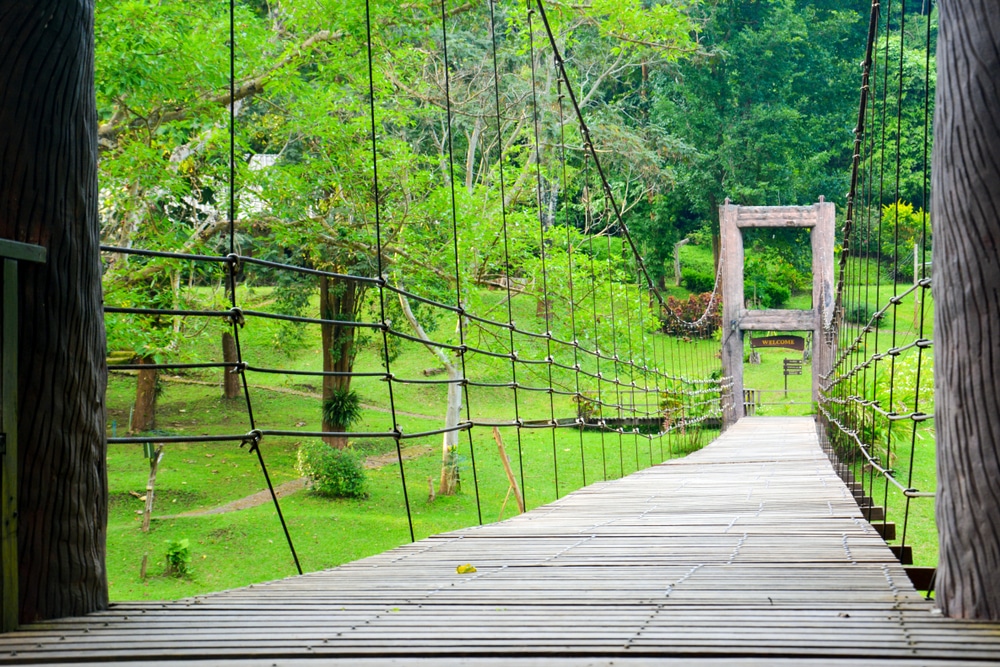 สะพานแขวนไม้ทอดผ่านป่าอันเขียวชอุ่ม โดยมีต้นไม้และหญ้าอ ที่เที่ยวธรรมชาติ ยู่สองข้างทางภายใต้ท้องฟ้าที่แจ่มใส ถือเป็นอัญมณีล้ำค่าที่สมบูรณ์แบบสำหรับผู้ที่กำลังมองหาที่เที่ยวธรรมชาติเงียบๆ ใกล้ฉัน.