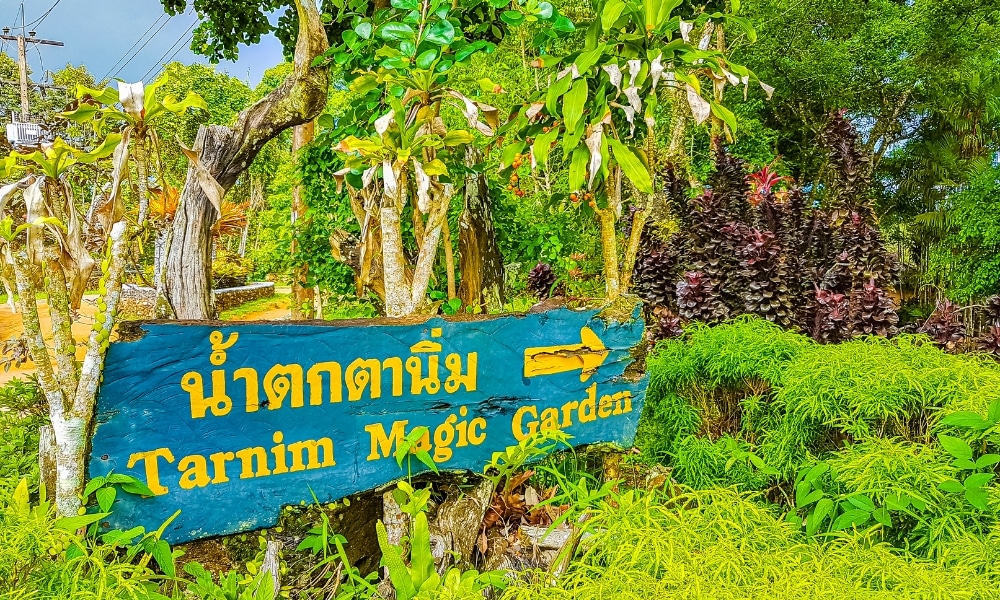 ป้ายสีน้ำเงินที่อ่านว่า “Tarnim Magic Garden” โดยมีอักษรไทยสีเหลืองตั้งอยู่ท่ามกลางใบไม้สีเขียว ถือเป็น ที่เที่ยวเกาะสมุย อัญมณีที่ซ่อนอยู่สำหรับทุกคนที่กำลังมองหาที่เที่ยวสมุยและเที่ยวเกาะสมุย ท่ามกลางพืชเมืองร้อนอันเขียวชอุ่ม.