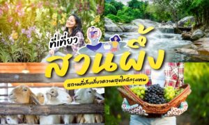 ที่เที่ยวสวนผึ้ง