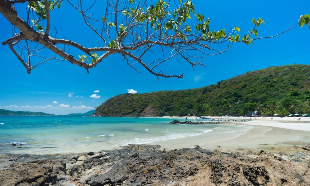 ชายหาดทรายที่มีน้ำทะเลสีฟ้าใส มีหินอยู่เบื้องหน้า เนินเขาสีเขียวอยู่ ที่เที่ยวเกาะเสม็ด ไกลๆ และกิ่งไม้เหนือศีรษะภายใต้ท้องฟ้าสดใส เหมาะสำหรับการเที่ยวเกาะเสม็ดและพักผ่อนริมทะเล.