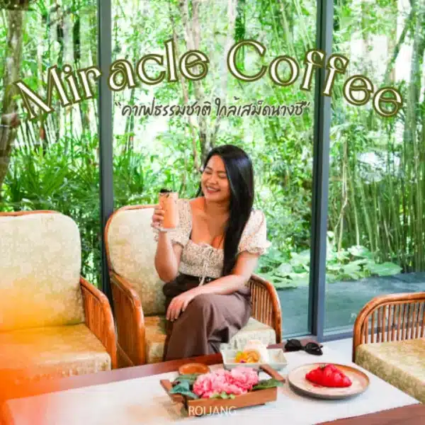 Miracle Coffee เสม็ดนางชี คาเฟ่เขียวขจี วิวหลักล้าน พังงา
