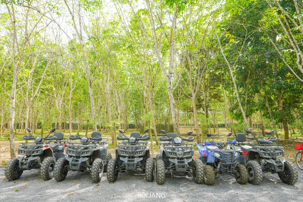 รถอเนกประสงค์ (ATV) จำนวน 6 คันจอดเคียงข้างกันบนกรวดที่ท้ายบำรุงแคมป์ปิ้ง ล้อมรอบด้วยพื้นที่ป่าโดยมีต้นไม้สีเขียวชอุ่มเป็นพื้นหลัง.