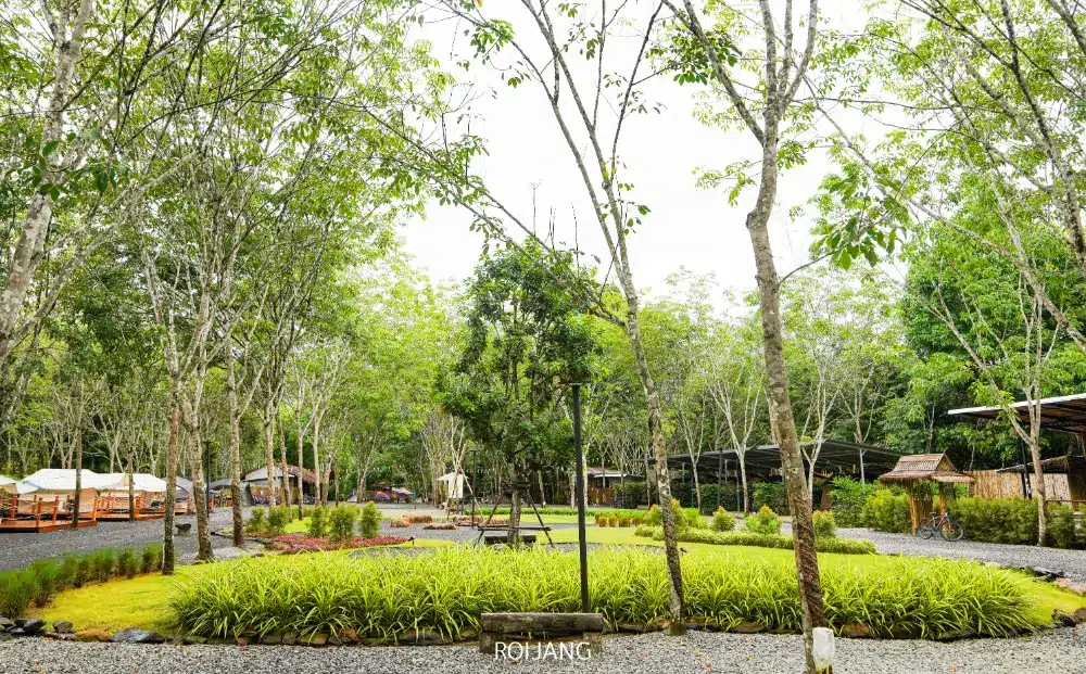 สวนภูมิทัศน์ที่มีหญ้าสีเขียว ต้นไม้ขนาดเล็ก และต้นไม้สูง มองเห็นทางเดินและบริเวณที่นั่งกลางแจ้งเป็นพื้นหลัง สร้างบรรยากาศท้ายแคมป์ปิ้งอันเงียบสงบ.