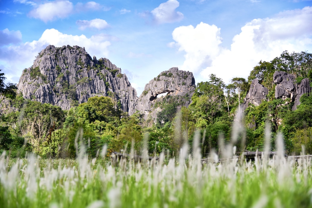 เนินเขาหินปูนขรุขระปกคลุมด้วยพืชพรรณสีเขียวขจีทอดตัวขึ้นเบื้องหลัง เที่ยวเลย ทุ่งหญ้าสูงใหญ่ ท่ามกลางท้องฟ้าสีฟ้าที่มีเมฆบางส่วน—เป็นภาพอันเป็นเอกลักษณ์สำหรับผู้ที่วางแผนจะ เที่ยวเลย หรือค้นหาสถานที่ท่องเที่ยวใหม่ในเลย.