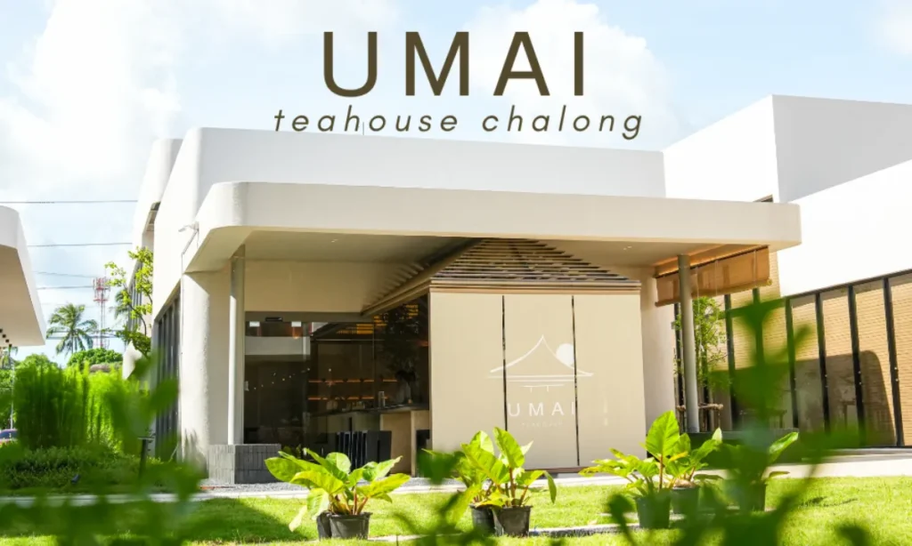 อาคารภายนอกสมัยใหม่พร้อมหน้าต่างกระจกบานใหญ่และป้ายที่เขียนว่า "UMAI Teahouse Chalong" ล้อมรอบด้วยพืชพรรณเขียวขจีภายใต้ท้องฟ้าแจ่มใส สัมผัสกับบรรยากาศที่เชิญชวนของ UMAI Teahouse ในสถานที่ที่เงียบสงบนี้.