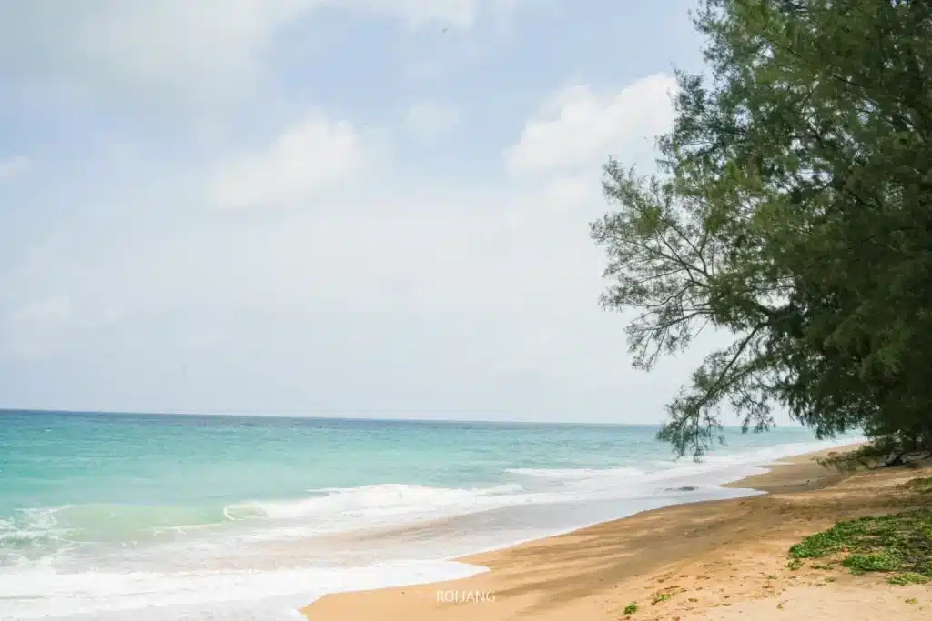 ชายหาดทรายขาวพร้อมคลื่นสีเทอร์ควอยซ์และท้องฟ้าแจ่มใส ล้อมรอบด้วยต้นไม้สีเขียวทางด้านขวา—ภาพทิวทัศน์ที่งดงามราวกับภาพวาดใกล้กับโรงแรมเมเลีย ภูเก็ต เหมาะสำหรับการเพลิดเพลินกับบุฟเฟ่ต์อาหารกลางวันวันเสาร์ที่เต็มไปด้วยความสดใส.