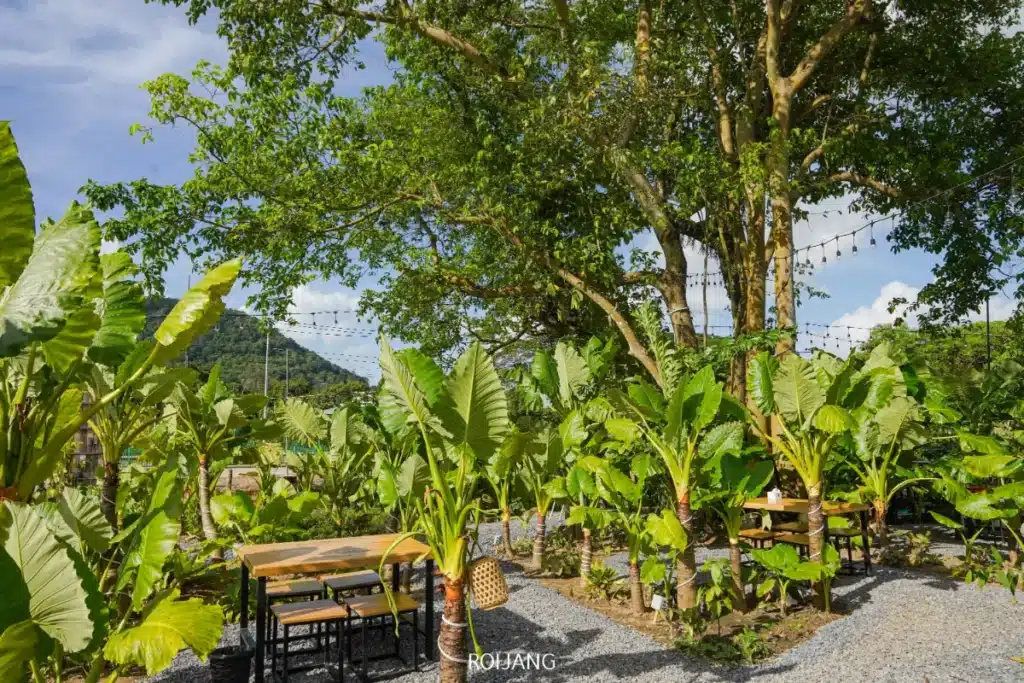 ที่นั่งในคาเฟ่กลางแจ้งจัดวางอยู่ท่ามกลางต้นไม้ใหญ่และพืชสีเขียว มีไฟประดับแขวนอยู่ด้านบน พร้อมภูเขาเป็นฉากหลังภายใต้ท้องฟ้าสีคราม สร้างบรรยากาศที่ผ่อนคลายและอบอุ่น.
