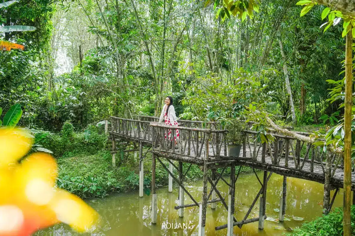 ผู้หญิงในชุดสีขาวและแดงยืนอยู่บนสะพานไม้เหนือแม่น้ำสายเล็ก ล้อมรอบด้วยพืชพรรณเขตร้อนสีเขียวหนาทึบและควันอ่อนๆ จาก ไก่ไฟฟืน ที่ลอยขึ้นใกล้ๆ.