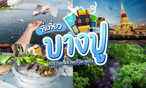 ภาพตัดต่อเพื่อส่งเสริมบางปู ประเทศไทย โดยมี สถานตากอากาศบางปู พร้อมการให้อาหารนกด้วยมือ, วัด, อาหารริมทางที่กำลังย่าง, และทิวทัศน์ของพื้นที่ชุ่มน้ำ ข้อความภาษาไทยเน้น ที่เที่ยวบางปู และกิจกรรมท่องเที่ยวท้องถิ่น.