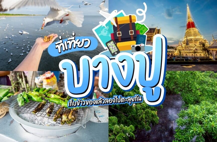 ภาพตัดต่อเพื่อส่งเสริมบางปู ประเทศไทย โดยมี สถานตากอากาศบางปู พร้อมการให้อาหารนกด้วยมือ, วัด, อาหารริมทางที่กำลังย่าง, และทิวทัศน์ของพื้นที่ชุ่มน้ำ ข้อความภาษาไทยเน้น ที่เที่ยวบางปู และกิจกรรมท่องเที่ยวท้องถิ่น.