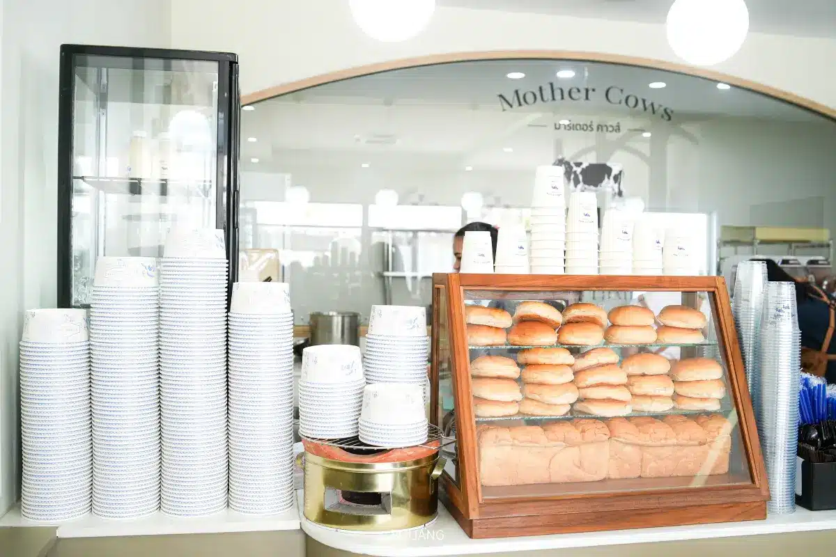 เคาน์เตอร์แสดงสินค้าที่ร้าน Mother Cows เขาหลัก มีถ้วยกระดาษวางซ้อนกันเป็นชั้นๆ ตู้กระจกที่เต็มไปด้วยขนมปังโรล และอุปกรณ์ต่างๆ ที่จัดวางอย่างเป็นระเบียบ.