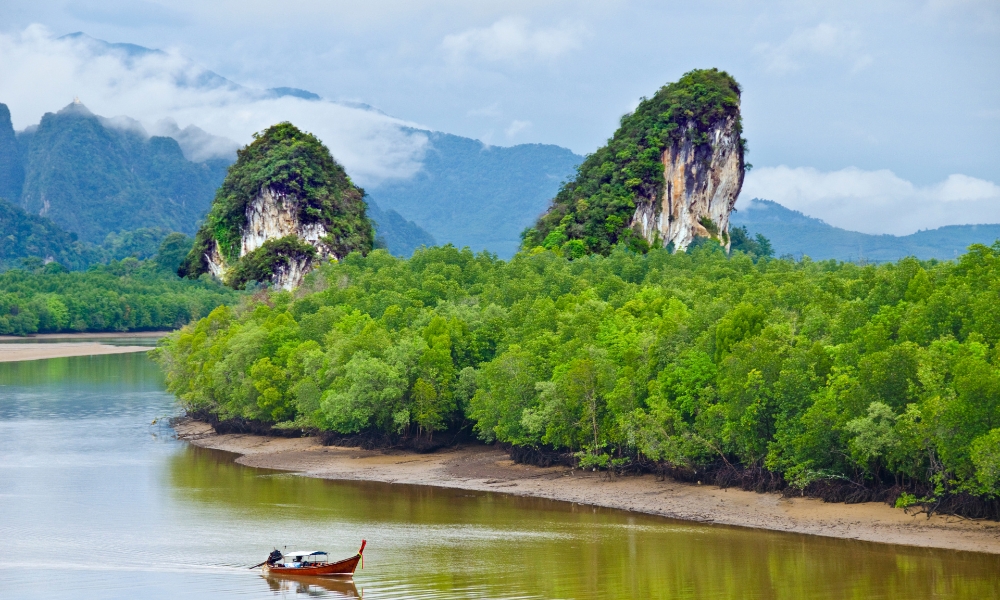 เรือไม้ลำเล็กแล่นไปตามแม่น้ำที่ขนาบข้างด้วยป่าชายเลนสีเขียวหนาทึบ โดยมีเนินเขาหินสูงชันตั้งตระหง่านอยู่เบื้องหลังภายใต้ท้องฟ้าที่มีเมฆครึ้ม—ภาพที่น่าจดจำไม่รู้ลืมสำหรับผู้ที่ต้องการ เที่ยวกระบี่.