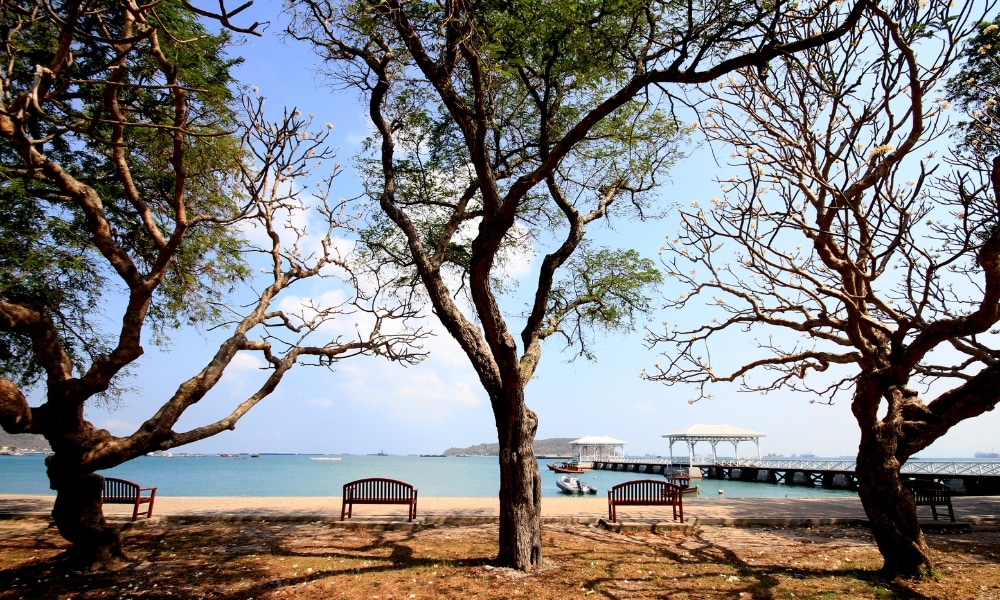 ต้นไม้สามต้นที่ไม่มีใบและม้านั่งไม้ตั้งอยู่บนพื้นที่ทรายซึ่งหันหน้าไปรวม ที่เที่ยวเกาะสีชัง เกาะสวยๆ ในที่เที่ยวชลบุรี ไป เที่ยวเกาะสีชัง เดินทางง่ายๆ ใกล้กรุงเทพแบบไปเช้าเย็นกลับได้ หลีกหนีความวุ่นวาย พร้อมอวดสถานที่สโลว์ไลฟ์
ทางทะเลที่สงบพร้อมท่าเรือและเรือลำเล็ก ๆ ใต้ท้องฟ้าสีคราม—เหมาะสำหรับผู้ที่กำลังมองหาสถานที่ท่องเที่ยวเกาะสีชัง.